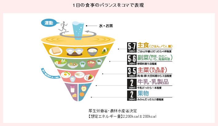 1日の食事のバランスをコマで表現