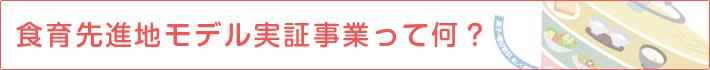 食育先進地モデル実証事業って何？