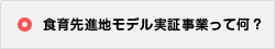 食育先進地モデル実証事業って何？