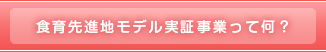 食育先進地モデル実証事業って何？