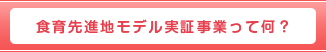 食育先進地モデル実証事業って何？