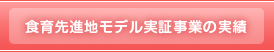 食育先進地モデル実証事業の実績