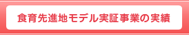 食育先進地モデル実証事業の実績