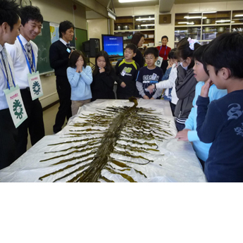 わかめパワーのひみつについての出前授業の実施