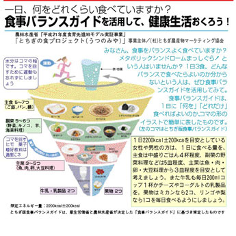 食事バランスガイドの解説を9月12日号・19日号に掲載