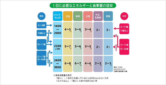 「食事バランスガイド」1日の適量とチェックシート