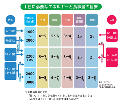 「食事バランスガイド」1日の適量とチェックシート