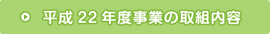 平成22年度事業の取組内容