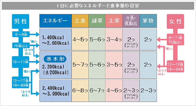 1日に必要なエネルギーと食事量の目安