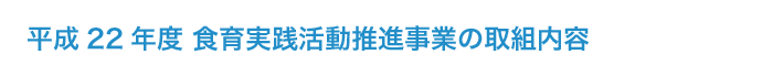 平成22年度 食育実践活動推進事業の取組内容